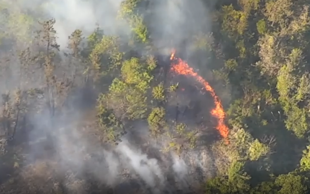 1673512686816721.png c507d82385f1cd01d0f498acbb191761.png